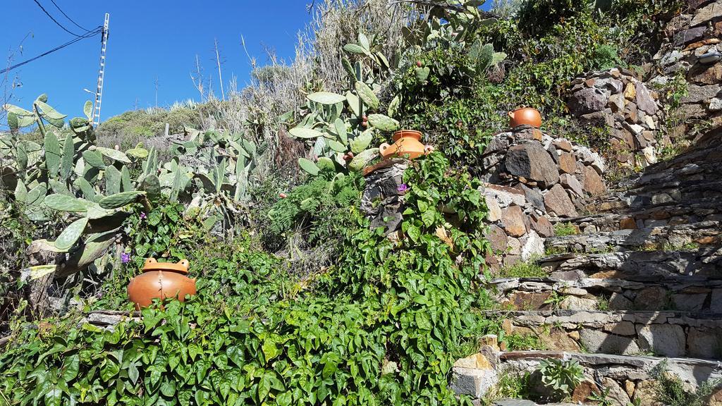 - Laendliches Haus, Pepita La De Flores Landhuis *