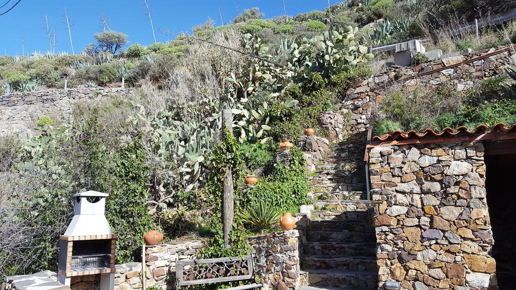 - Laendliches Haus, Pepita La De Flores * Tejeda (Gran Canaria)