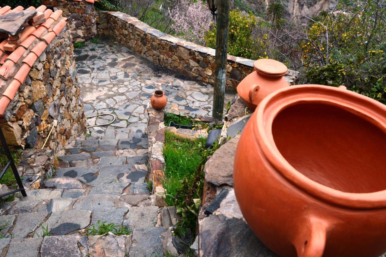 Casa rural Pepita La De Flores *